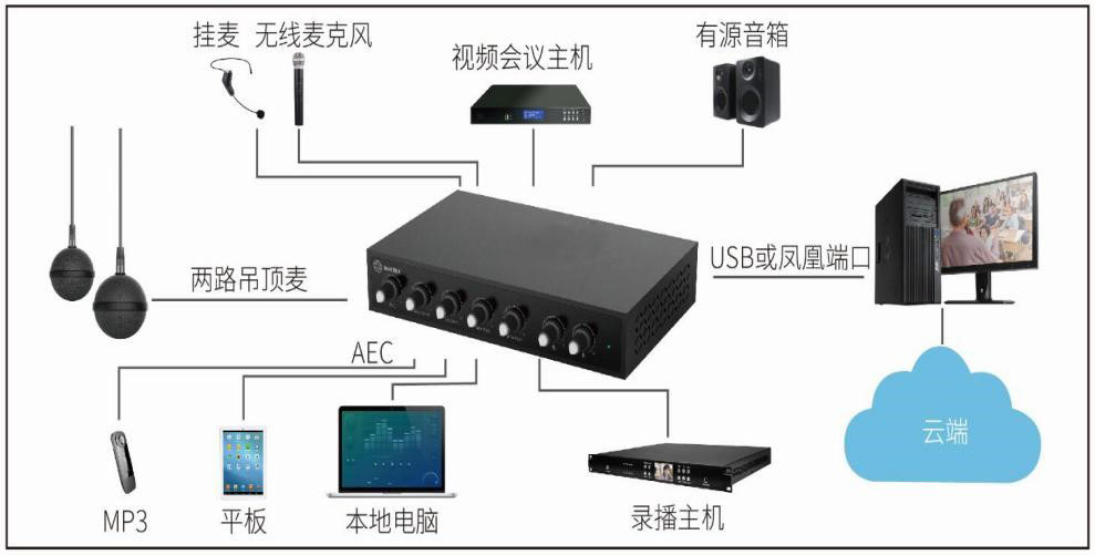 同三維T1002W球型雙吊麥/無(wú)線(xiàn)手持麥/掛麥