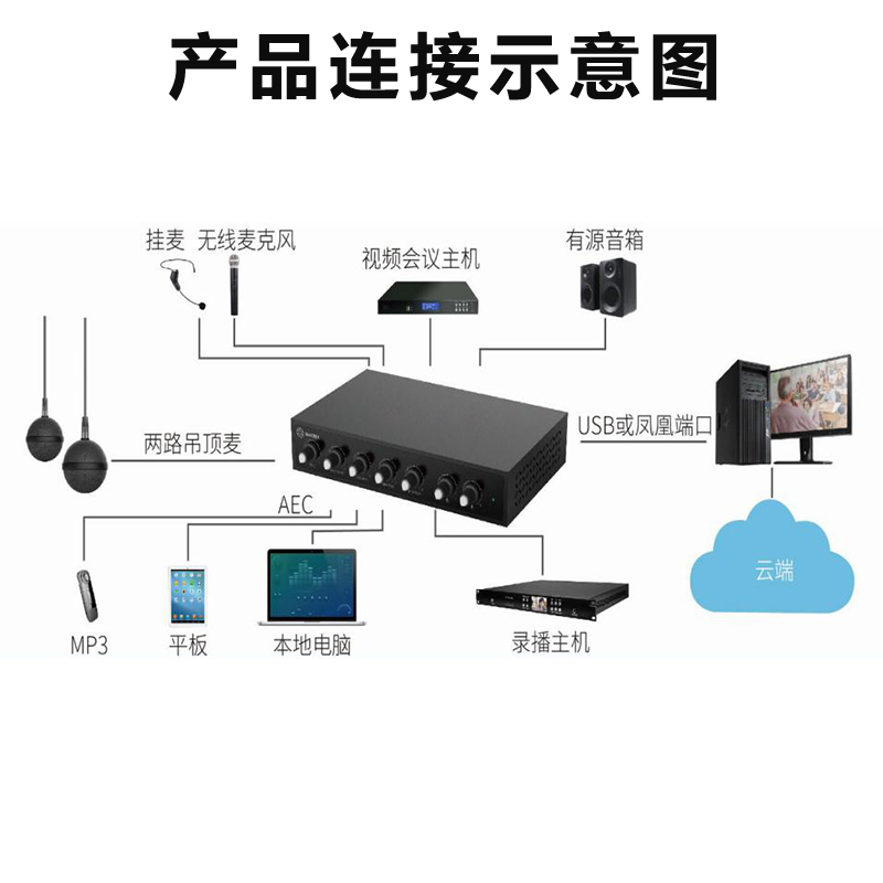 同三維T1002W球型雙吊麥/無(wú)線(xiàn)手持麥/掛麥